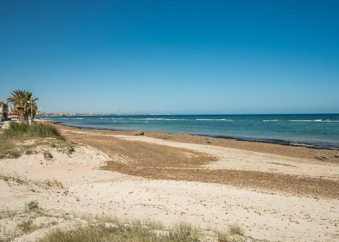 Iris * 산 미겔 데 살리나스