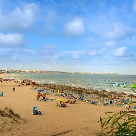 Iris Villa San Miguel De Salinas