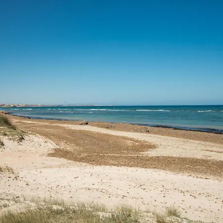 Iris * San Miguel De Salinas